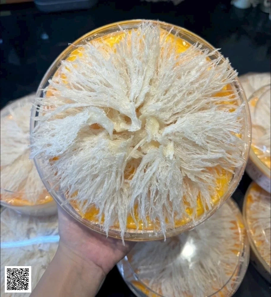 Chân Yến Rút Lông Loại Đặc Biệt (100gr) - Tổ Yến (Yến Sào) Làm Sạch Cao Cấp
