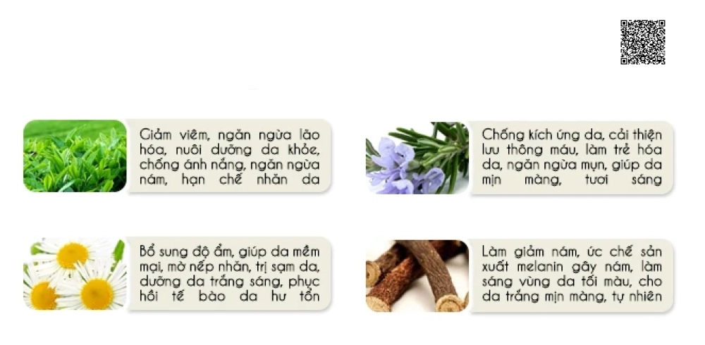 kem-tri-nam-da-ban-dem-phuc-hoi-da-hu-ton-do-nam-crystal-skin-whitening-night-cream-bella-skin