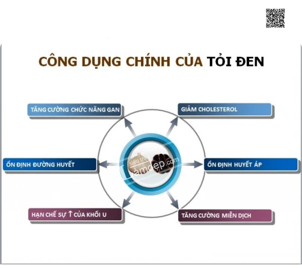 Công dụng của tỏi đen và hành đen
