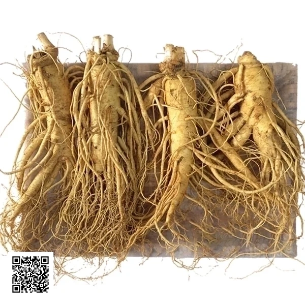 Nhân Sâm Tươi Hàn Quốc 4 Củ/Kg