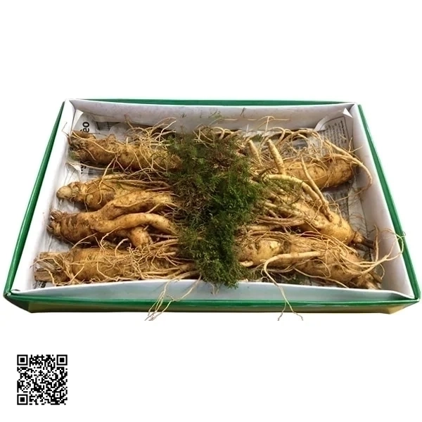 Nhân Sâm Tươi Hàn Quốc 7 Củ/Kg