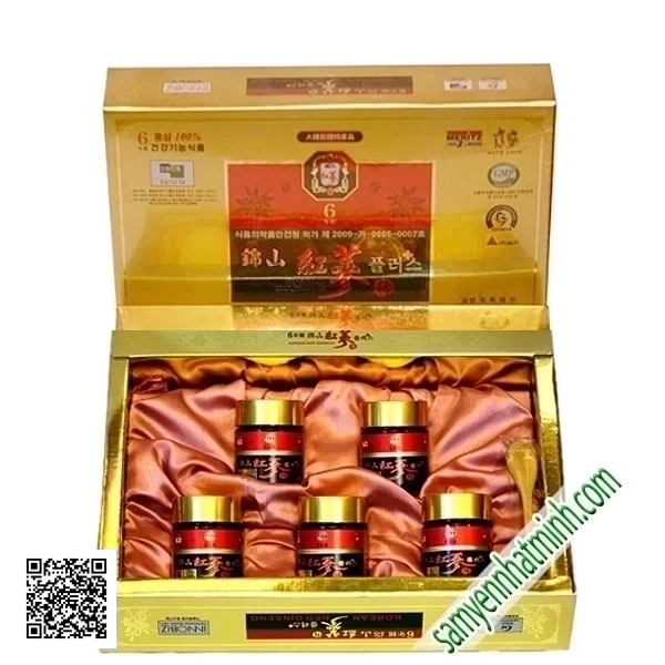 Cao Hồng Sâm Meritz Thượng Hạng (120gr x 5 Lọ)