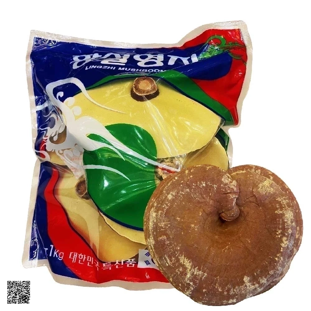 Nấm Linh Chi Vàng Nuôi Trồng Korean Lingzhi Mushroom Bịch 1kg