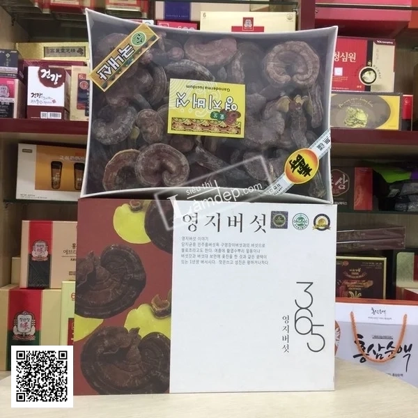 Nấm Linh Chi Núi Có Bào Tử 365 Hàn Quốc Thượng Hạng Hộp 1kg